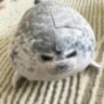 Плюшева м’яка іграшка Тюлень Seal тренди TikTok милий декор для кімнати (23 см)