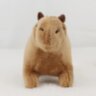 Плюшева м’яка іграшка Капібара Capybara тренди TikTok декор для дитячої кімнати подарунок на день народження 18см 